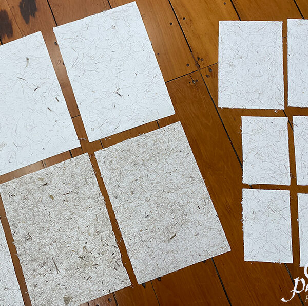 Recycled Paper with Cabbage Tree Fibre – The Papermill