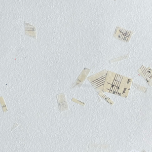 Recycled Paper with specialty inclusions